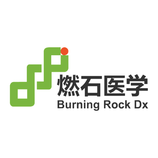 BNR - Burning Rock Biotech Ltd logo