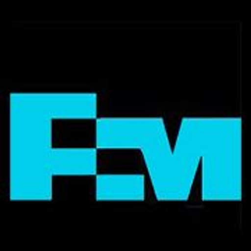FCX - Freeport-McMoran Copper & Gold Inc logo